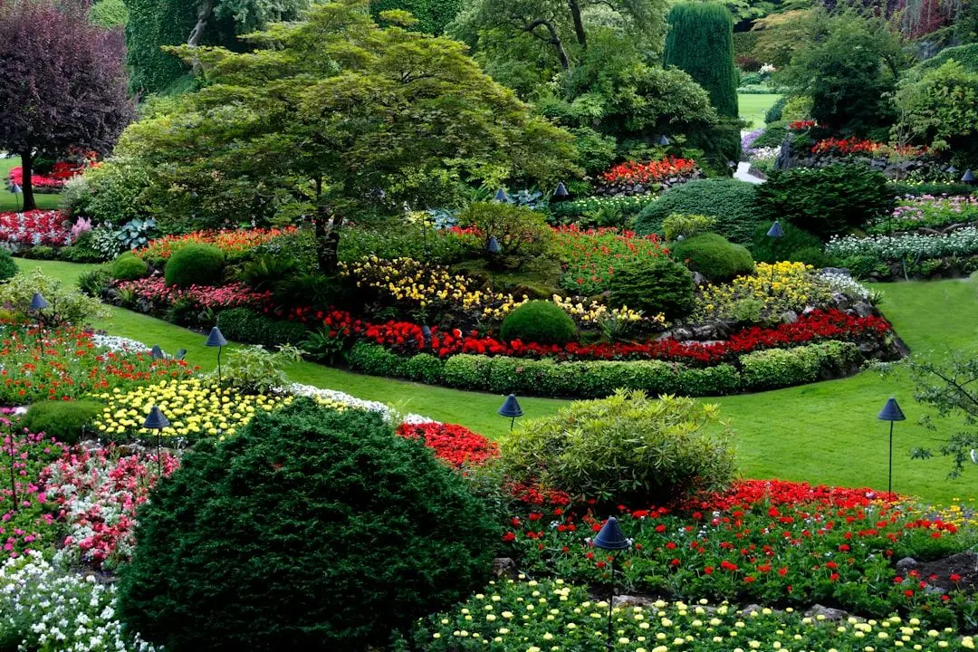 Why Landscaping Matters in Construction